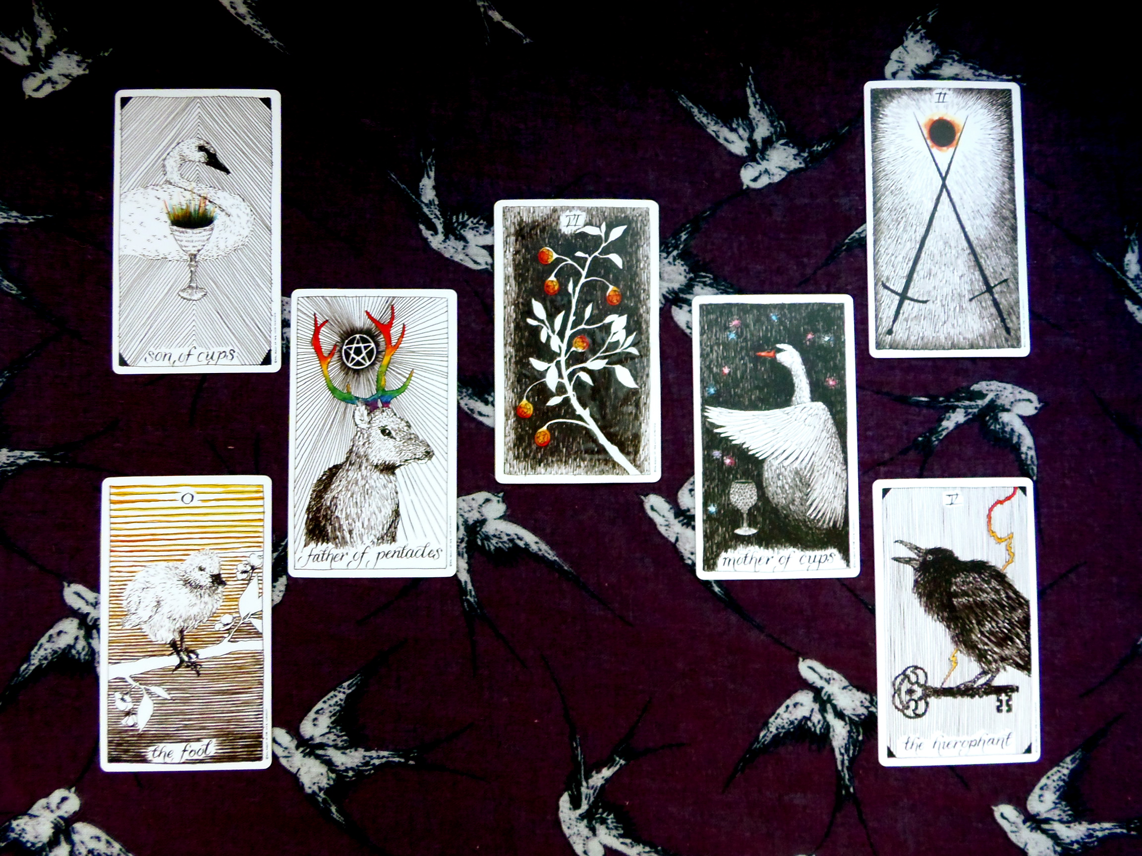 ...so I'm going to check in with myself using my full moon tarot s...